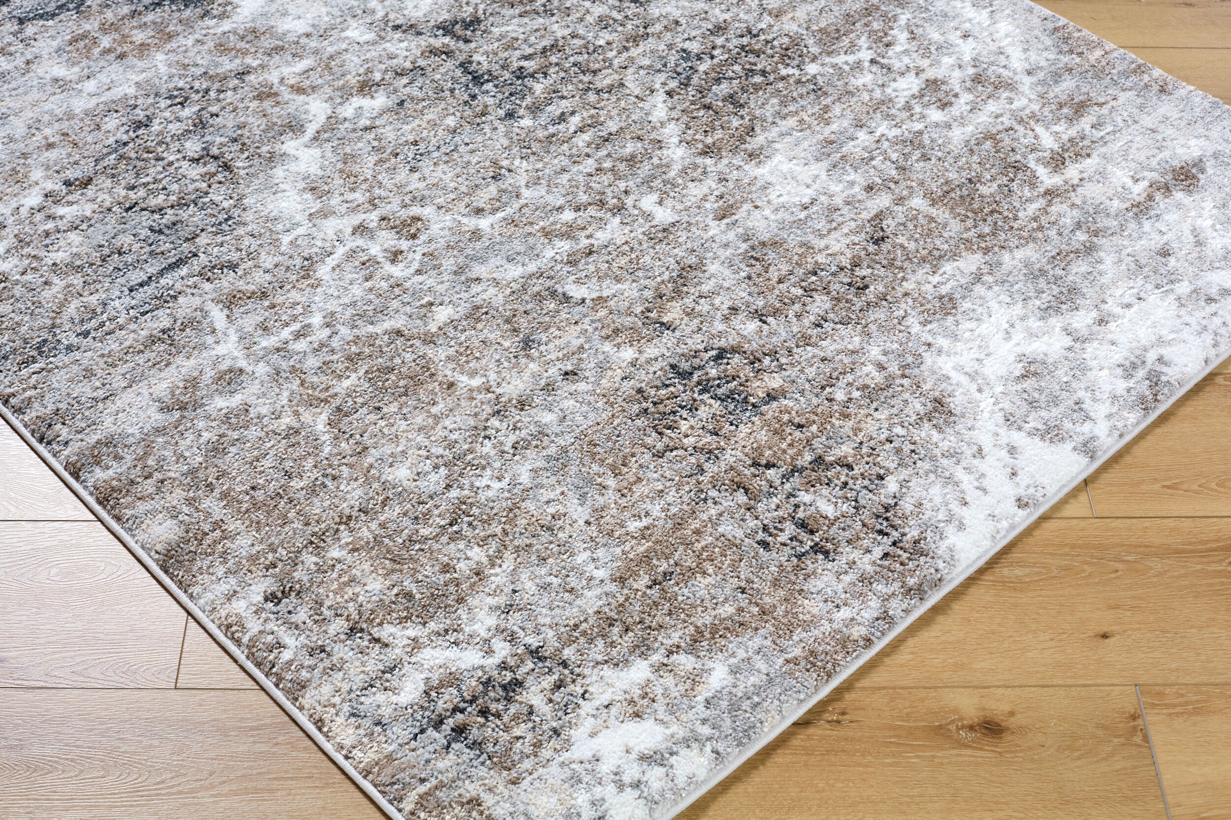 Surya Andorra Plus ARP-2318 Light Gray Area Rug by LIVABLISS