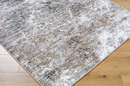 Surya Andorra Plus ARP-2318 Light Gray Area Rug by LIVABLISS