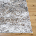 Surya Andorra Plus ARP-2318 Light Gray Area Rug by LIVABLISS