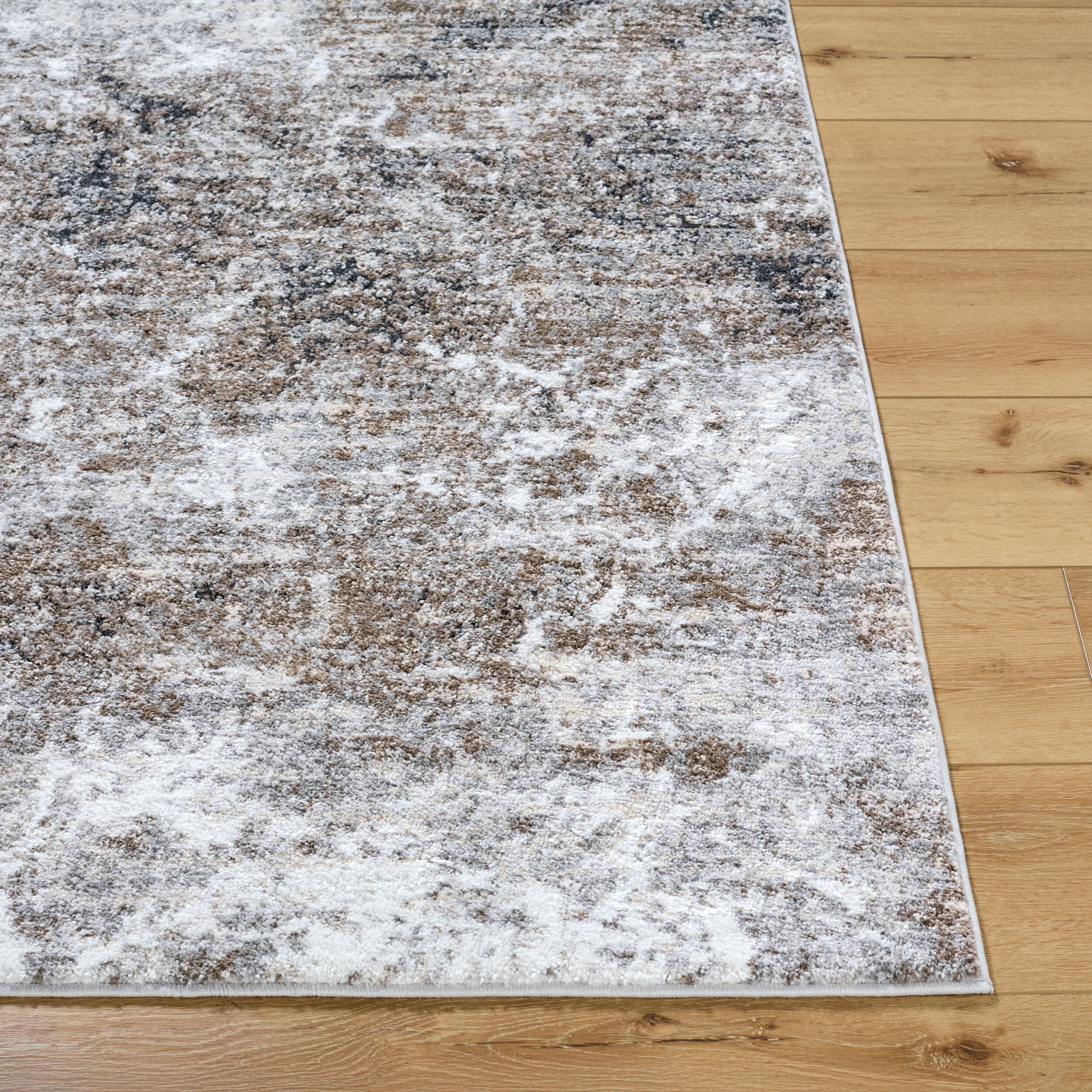 Surya Andorra Plus ARP-2318 Light Gray Area Rug by LIVABLISS