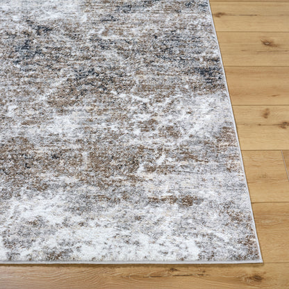 Surya Andorra Plus ARP-2318 Light Gray Area Rug by LIVABLISS