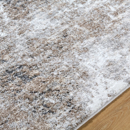 Surya Andorra Plus ARP-2318 Light Gray Area Rug by LIVABLISS