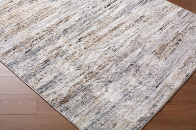 Surya Andorra Plus ARP-2319 Ivory Area Rug by LIVABLISS