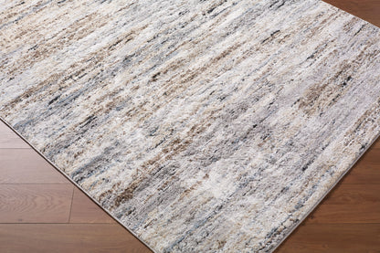 Surya Andorra Plus ARP-2319 Ivory Area Rug by LIVABLISS