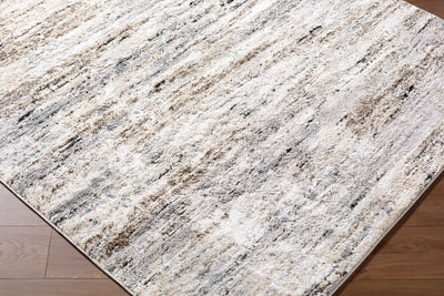 Surya Andorra Plus ARP-2319 Ivory Area Rug by LIVABLISS