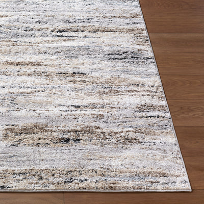 Surya Andorra Plus ARP-2319 Ivory Area Rug by LIVABLISS