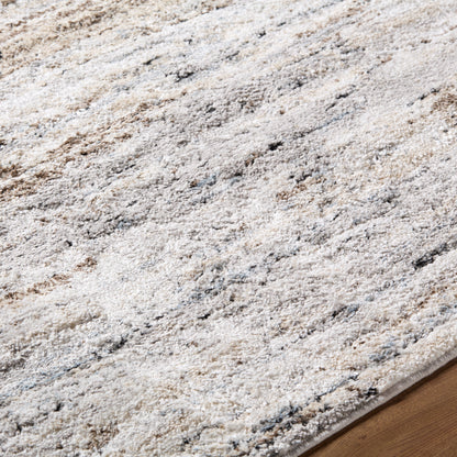 Surya Andorra Plus ARP-2319 Ivory Area Rug by LIVABLISS