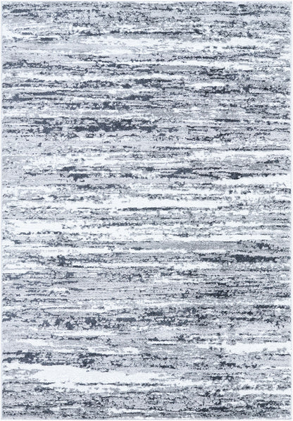 Surya Andorra Plus ARP-2321 Black Area Rug by LIVABLISS