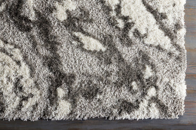 Surya Alta Shag ASG-2301 Gray Area Rug by LIVABLISS