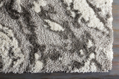 Surya Alta Shag ASG-2301 Gray Area Rug by LIVABLISS