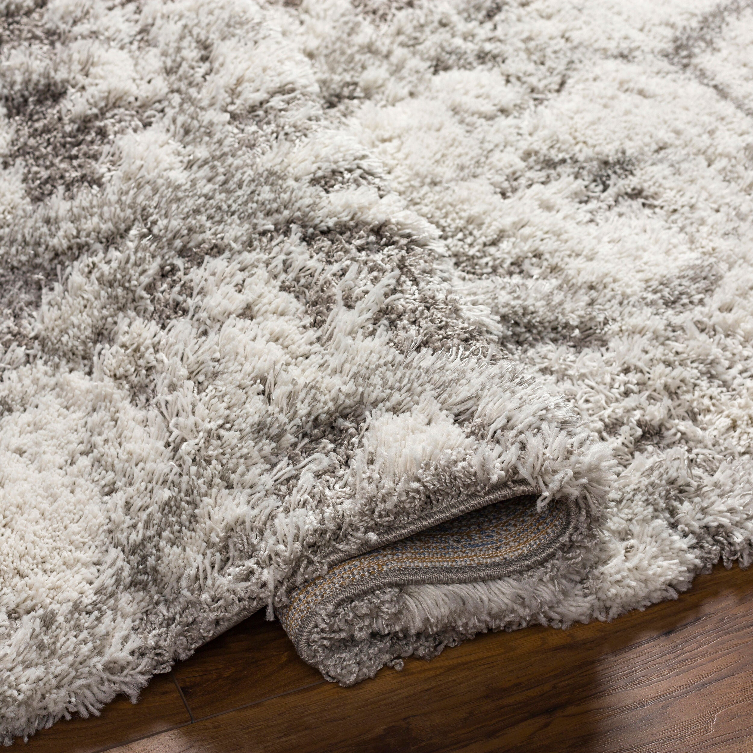 Surya Alta Shag ASG-2302 Light Gray Area Rug by LIVABLISS