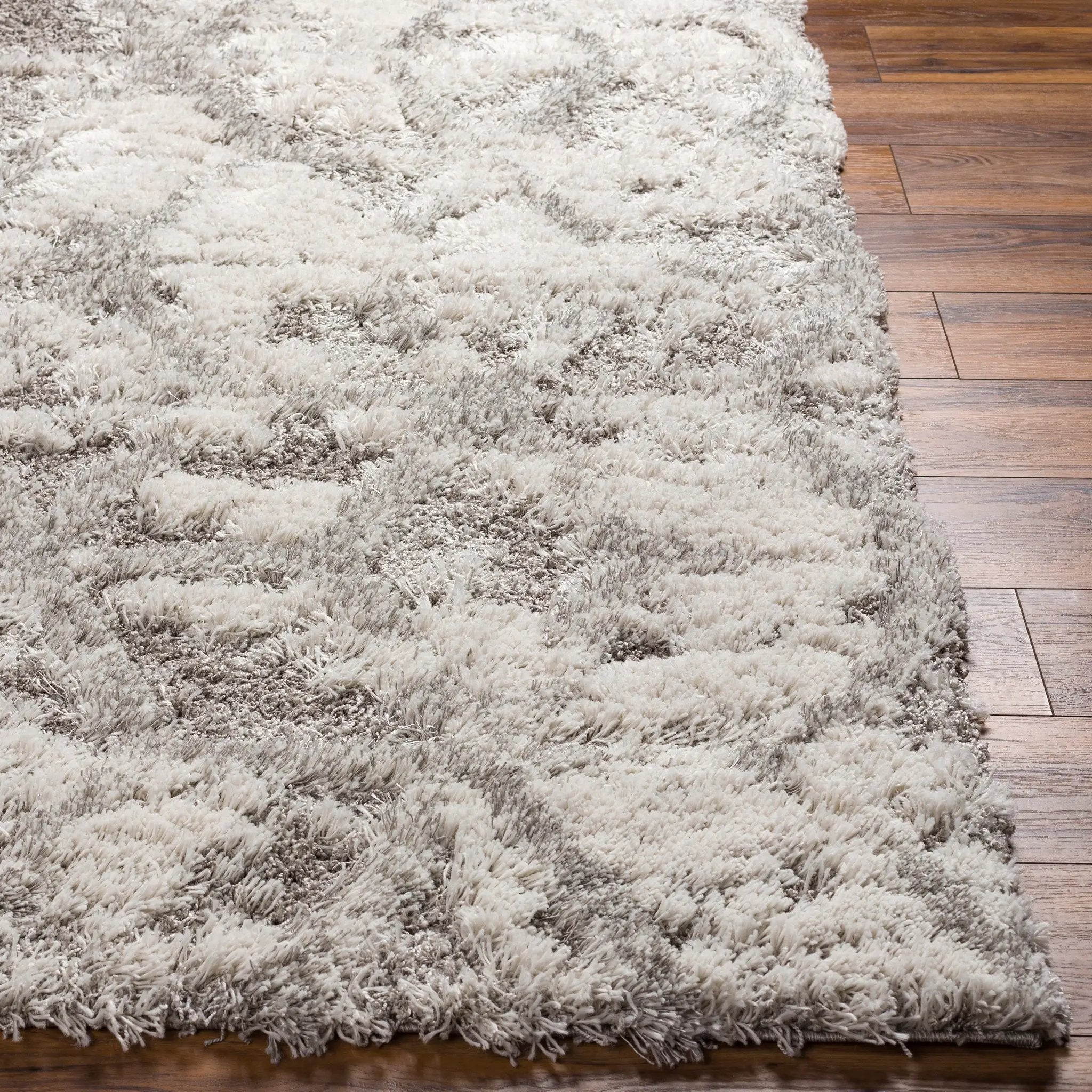 Alta Shag ASG-2302 Light-Gray Area Rug by LIVABLISS