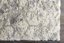 Surya Alta Shag ASG-2302 Light Gray Area Rug by LIVABLISS