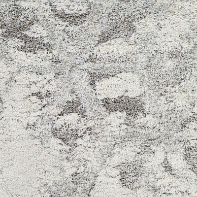 Surya Alta Shag ASG-2302 Light Gray Area Rug by LIVABLISS
