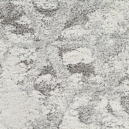 Surya Alta Shag ASG-2302 Light Gray Area Rug by LIVABLISS
