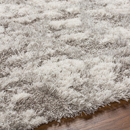 Surya Alta Shag ASG-2302 Light Gray Area Rug by LIVABLISS