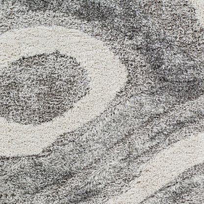 Surya Alta Shag ASG-2303 Charcoal Area Rug by LIVABLISS