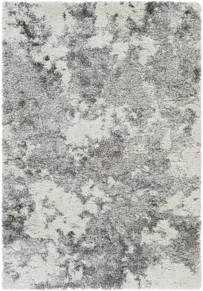 Surya Alta Shag ASG-2304 Off-White Area Rug by LIVABLISS