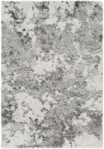 Surya Alta Shag ASG-2304 Off-White Area Rug by LIVABLISS