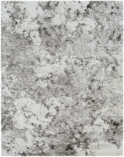 Surya Alta Shag ASG-2304 Off-White Area Rug by LIVABLISS