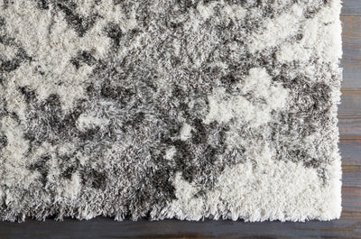 Surya Alta Shag ASG-2304 Off-White Area Rug by LIVABLISS