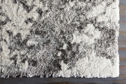 Surya Alta Shag ASG-2304 Off-White Area Rug by LIVABLISS