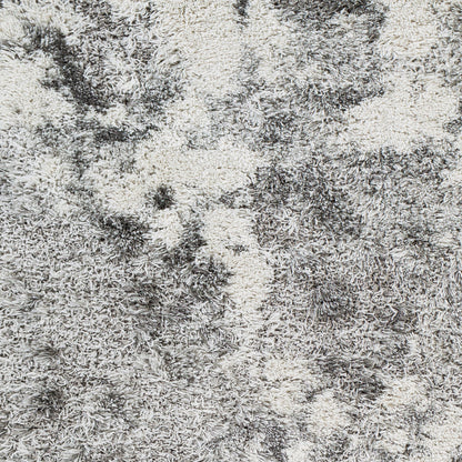 Surya Alta Shag ASG-2304 Off-White Area Rug by LIVABLISS