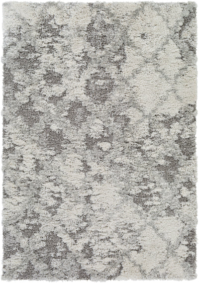 Surya Alta Shag ASG-2305 Off-White Area Rug by LIVABLISS
