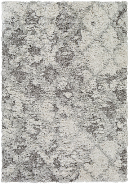 Surya Alta Shag ASG-2305 Off-White Area Rug by LIVABLISS
