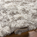 Surya Alta Shag ASG-2305 Off-White Area Rug by LIVABLISS