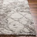 Surya Alta Shag ASG-2305 Off-White Area Rug by LIVABLISS