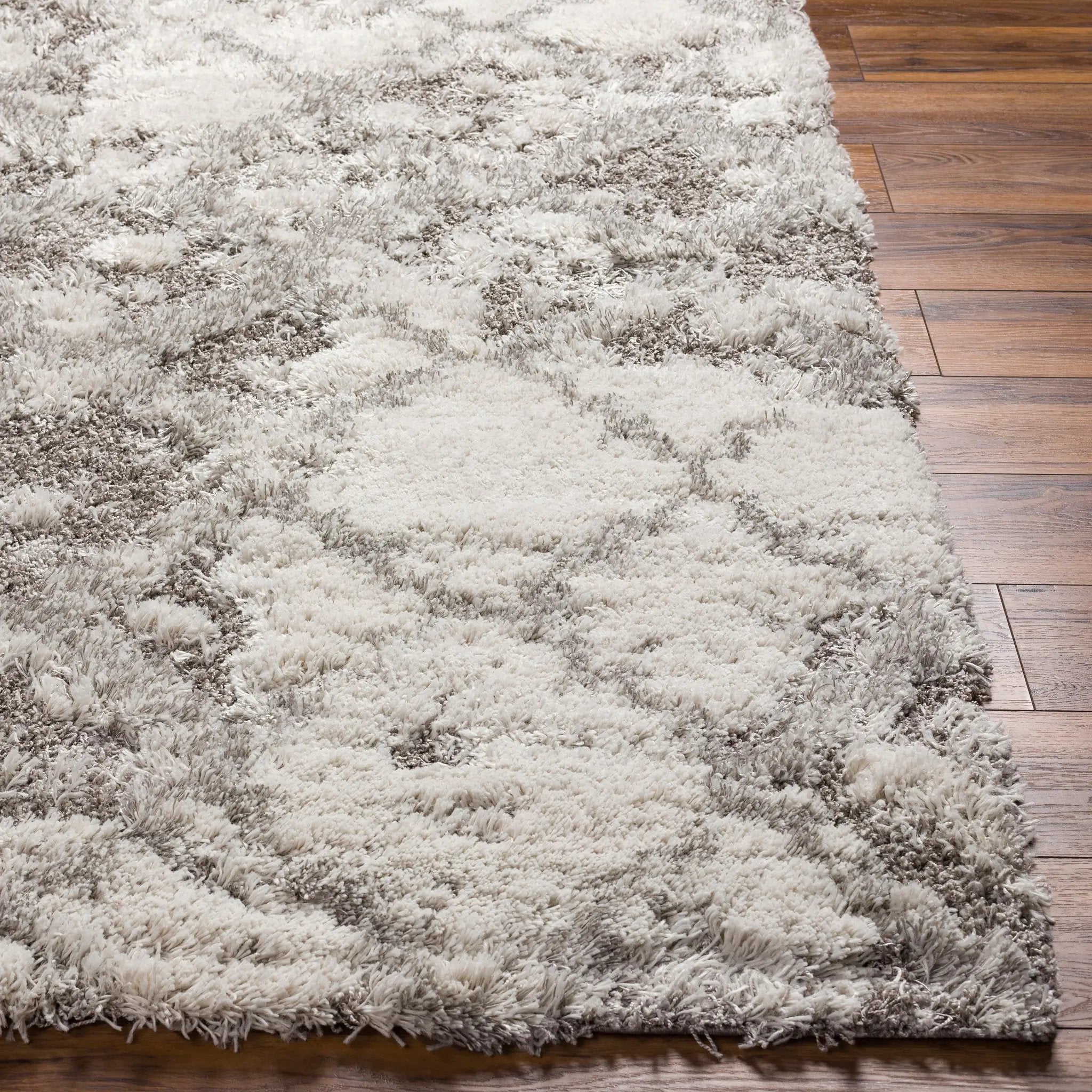 Alta Shag ASG-2305 Off-White Area Rug by LIVABLISS