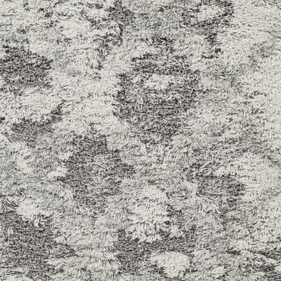 Surya Alta Shag ASG-2305 Off-White Area Rug by LIVABLISS