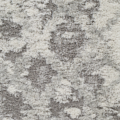 Surya Alta Shag ASG-2305 Off-White Area Rug by LIVABLISS