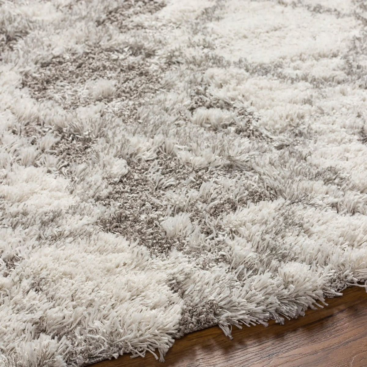Alta Shag ASG-2305 Off-White Area Rug by LIVABLISS
