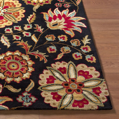 Athena ATH-5017 Black Area Rug by LIVABLISS