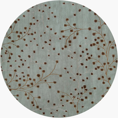Athena ATH-5058 Sage Area Rug by LIVABLISS