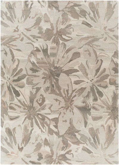 Athena ATH-5150 Taupe Area Rug by LIVABLISS