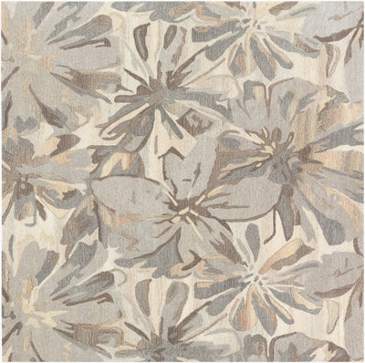 Athena ATH-5150 Taupe Area Rug by LIVABLISS