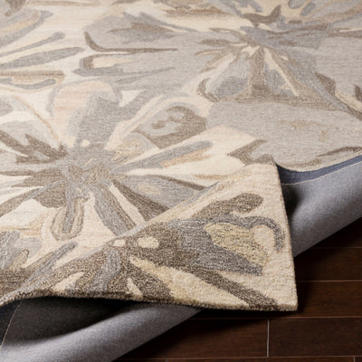 Athena ATH-5150 Taupe Area Rug by LIVABLISS