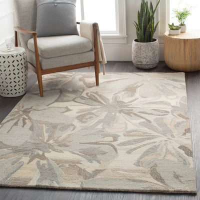 Athena ATH-5150 Taupe Area Rug by LIVABLISS