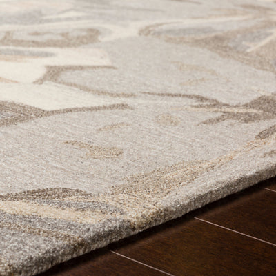Athena ATH-5150 Taupe Area Rug by LIVABLISS