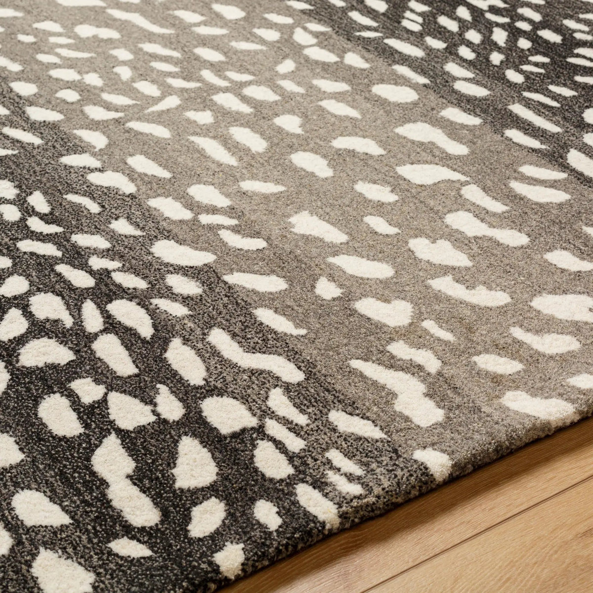 Athena ATH-5170 Light Gray Area Rug by LIVABLISS
