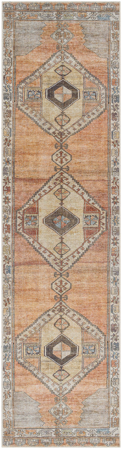 Surya Antiquity AUY-2303 Dark Brown Area Rug by LIVABLISS