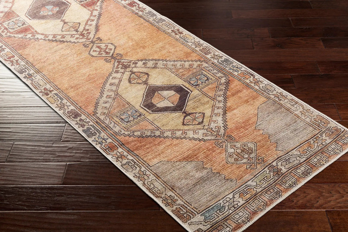 Antiquity AUY-2303 Dark-Brown Area Rug by LIVABLISS
