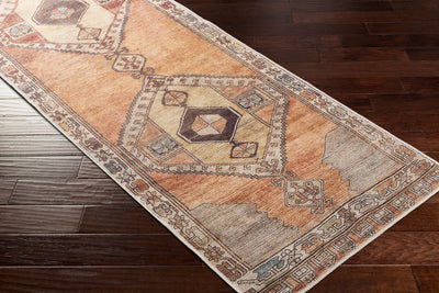 Surya Antiquity AUY-2303 Dark Brown Area Rug by LIVABLISS