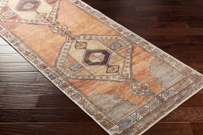 Surya Antiquity AUY-2303 Dark Brown Area Rug by LIVABLISS