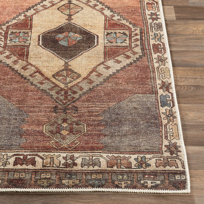 Surya Antiquity AUY-2303 Dark Brown Area Rug by LIVABLISS
