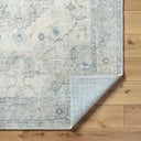 LIVABLISS Avellino AVL-2314 Light-Beige Area Rug