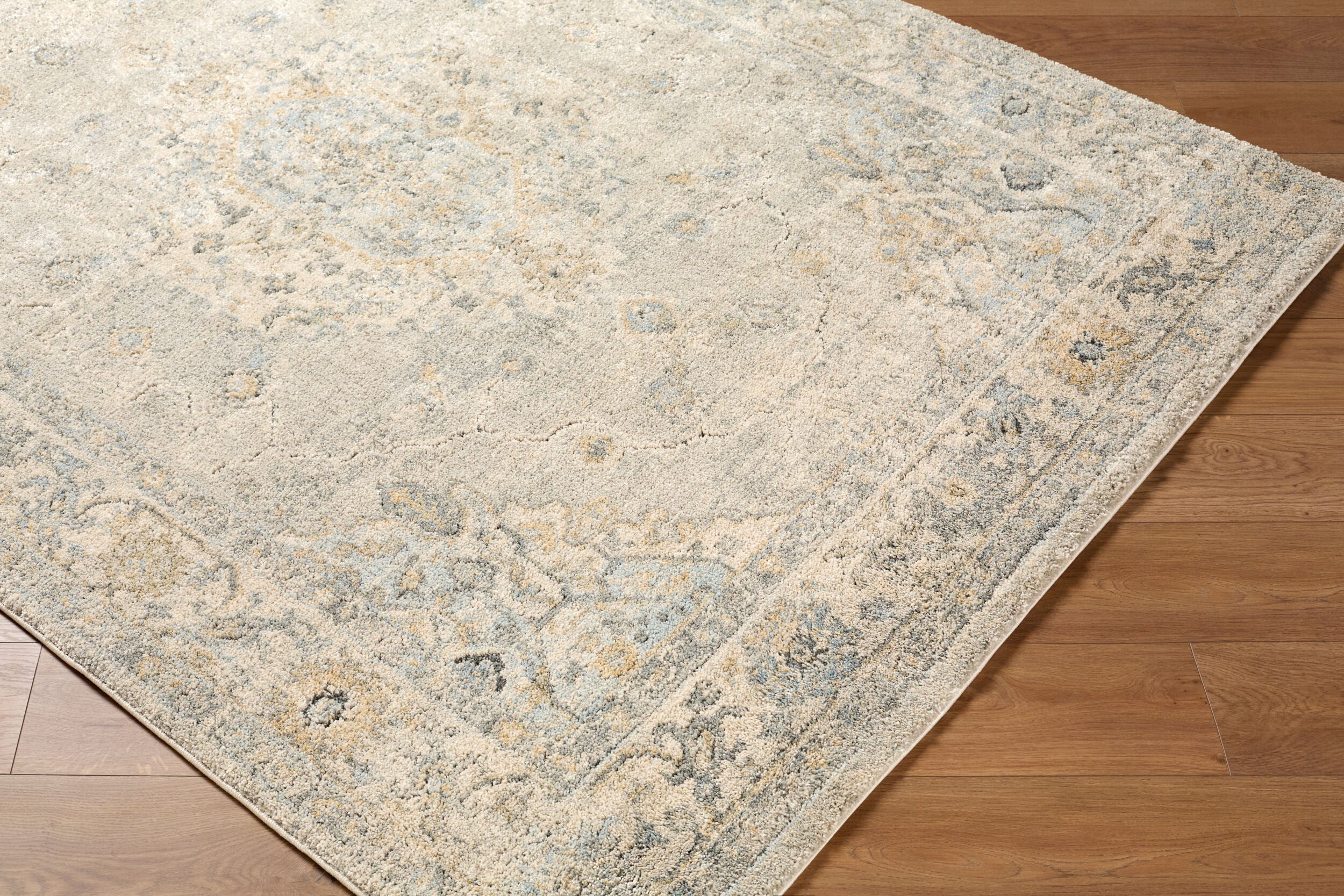 LIVABLISS Avellino AVL-2316 Light-Gray Area Rug